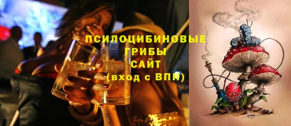 скорость Лагань